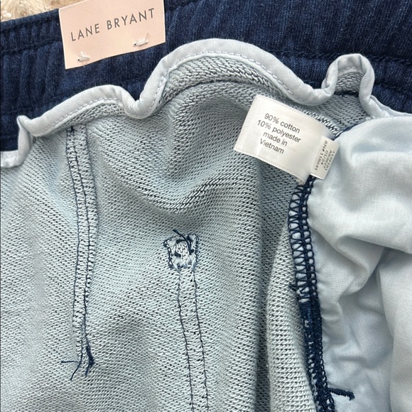 Lane Bryant Dark Blue Athletic Shorts - Picture 8 of 10